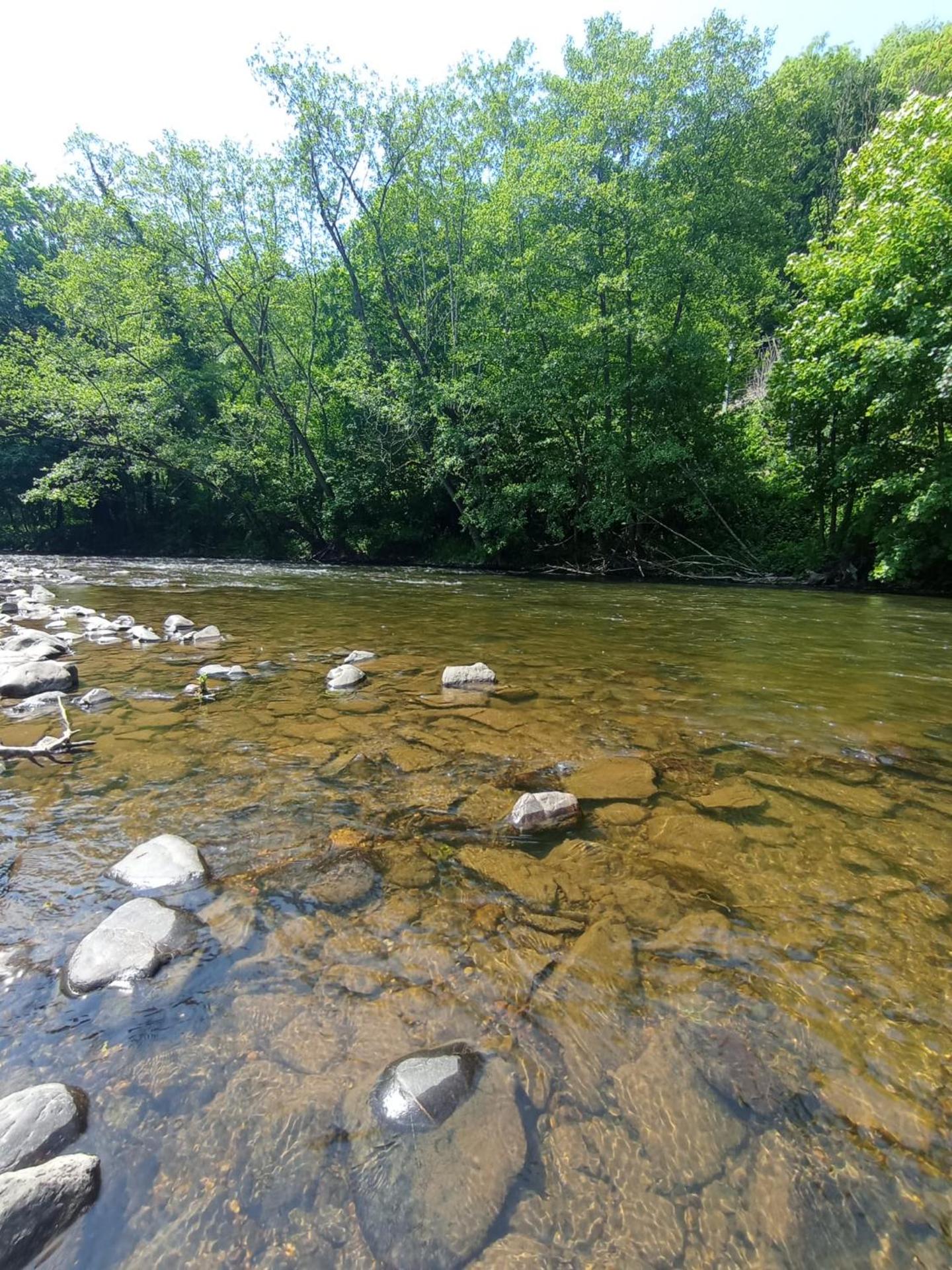La Villa les pieds dans leau
