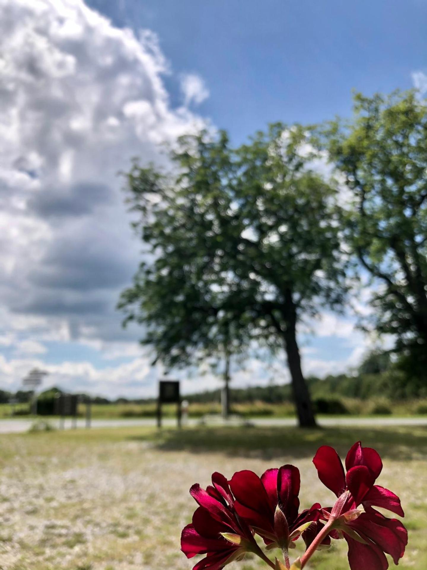 Les gîtes du Valjoly 1