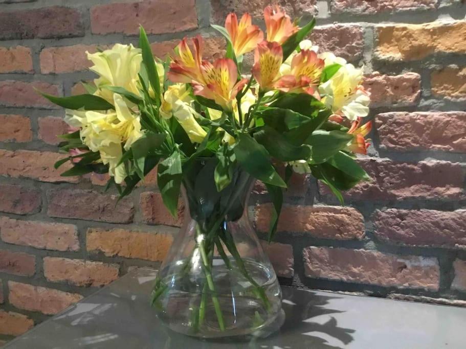 Y Bwythyn - Lovely cottage in village of Spittal