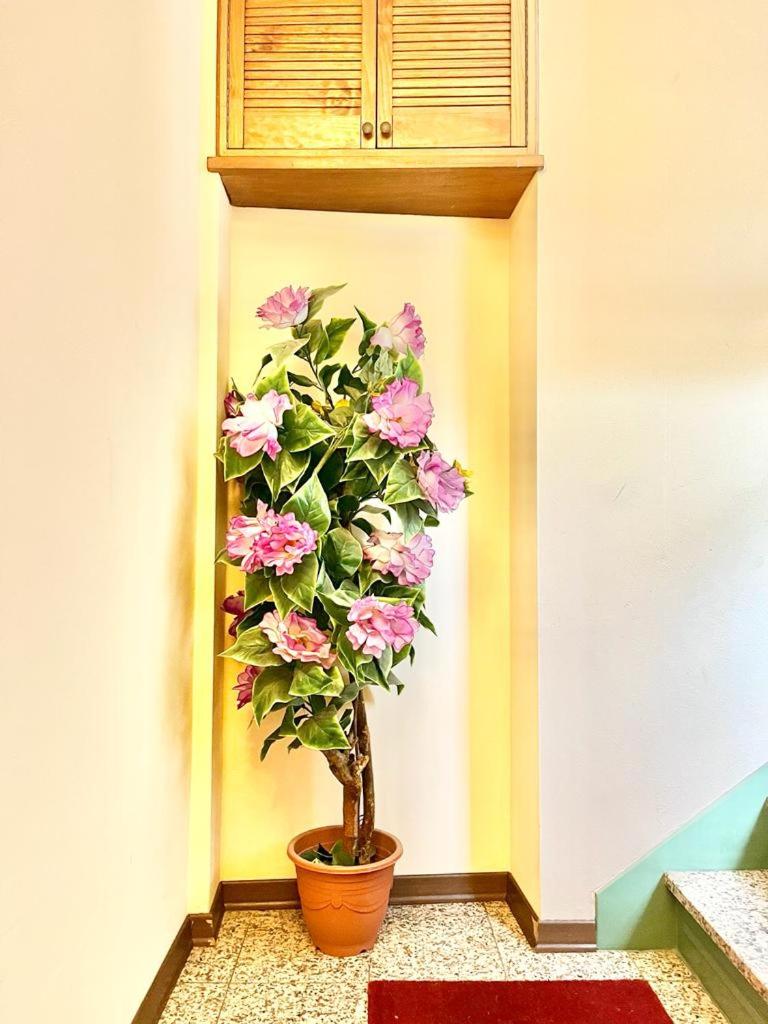 Alloggio MAIA centro Biella