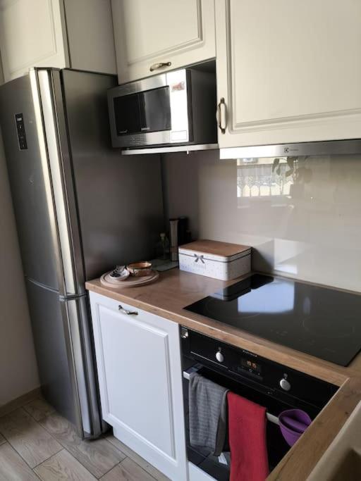 Apartament w sercu Malborka