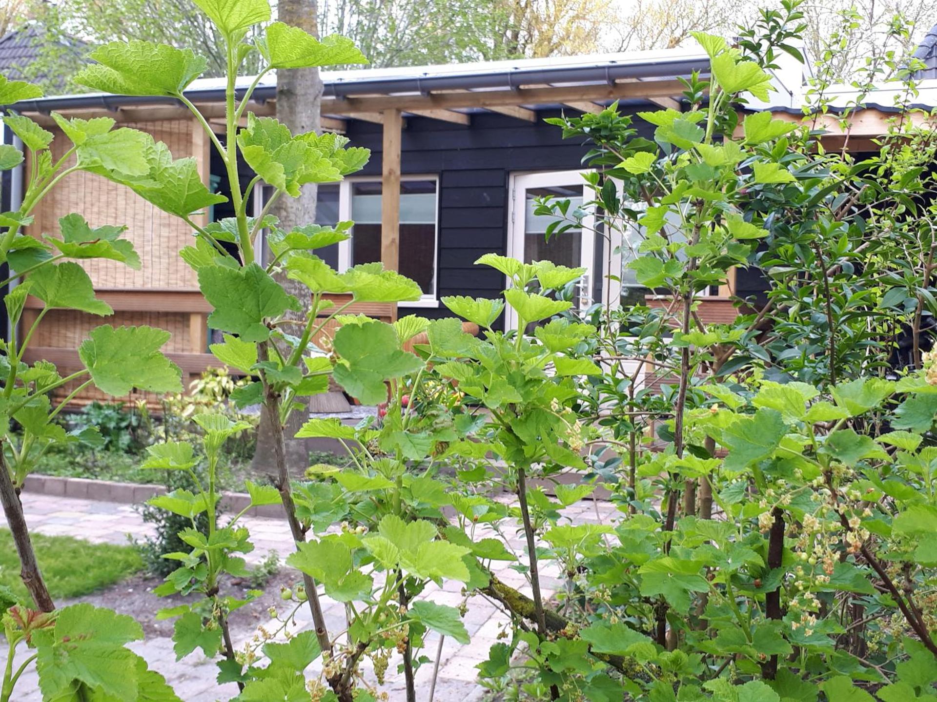 B&B Het Molensteegje