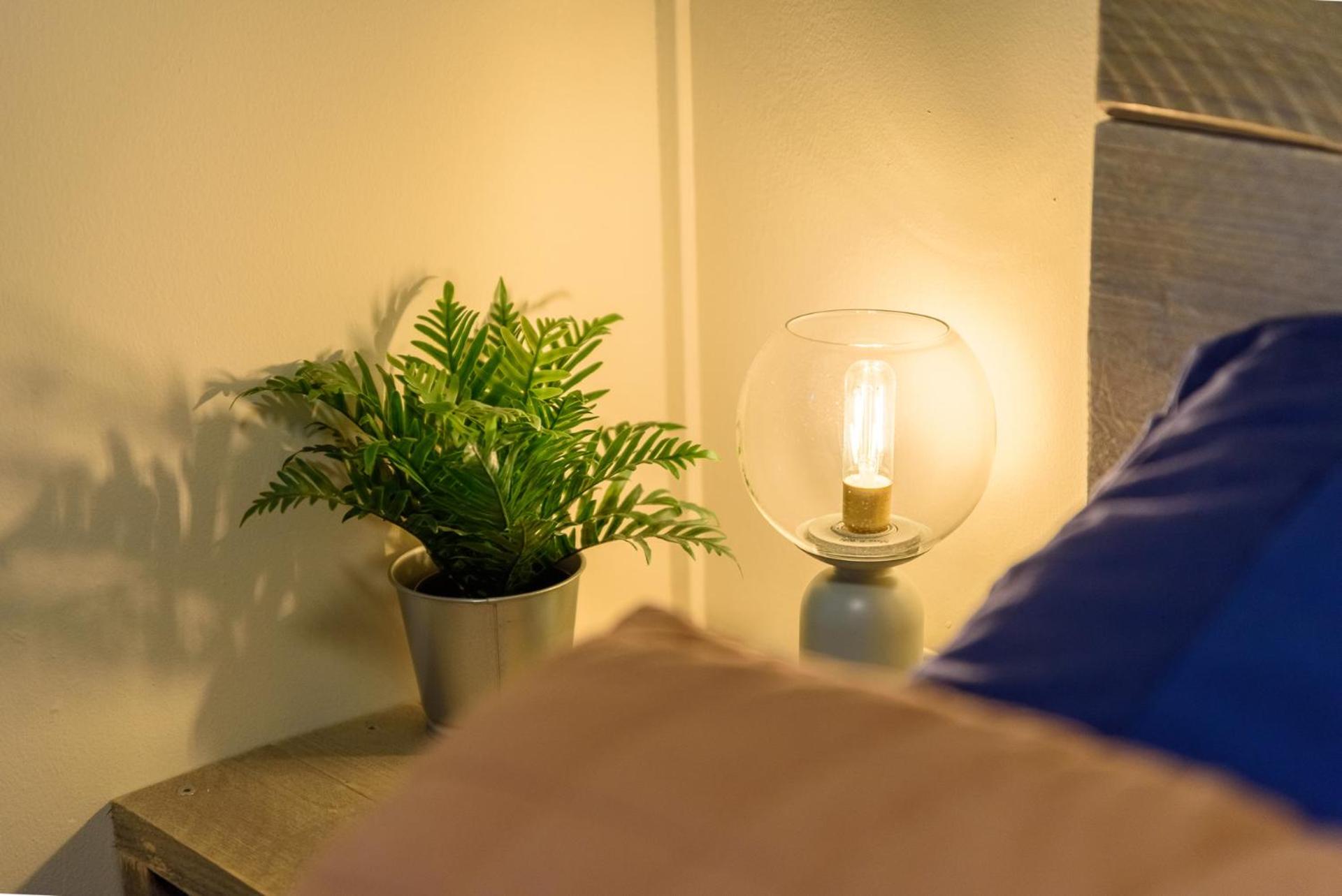 Chalet met eigen tuin aan de Veluwse bosrand