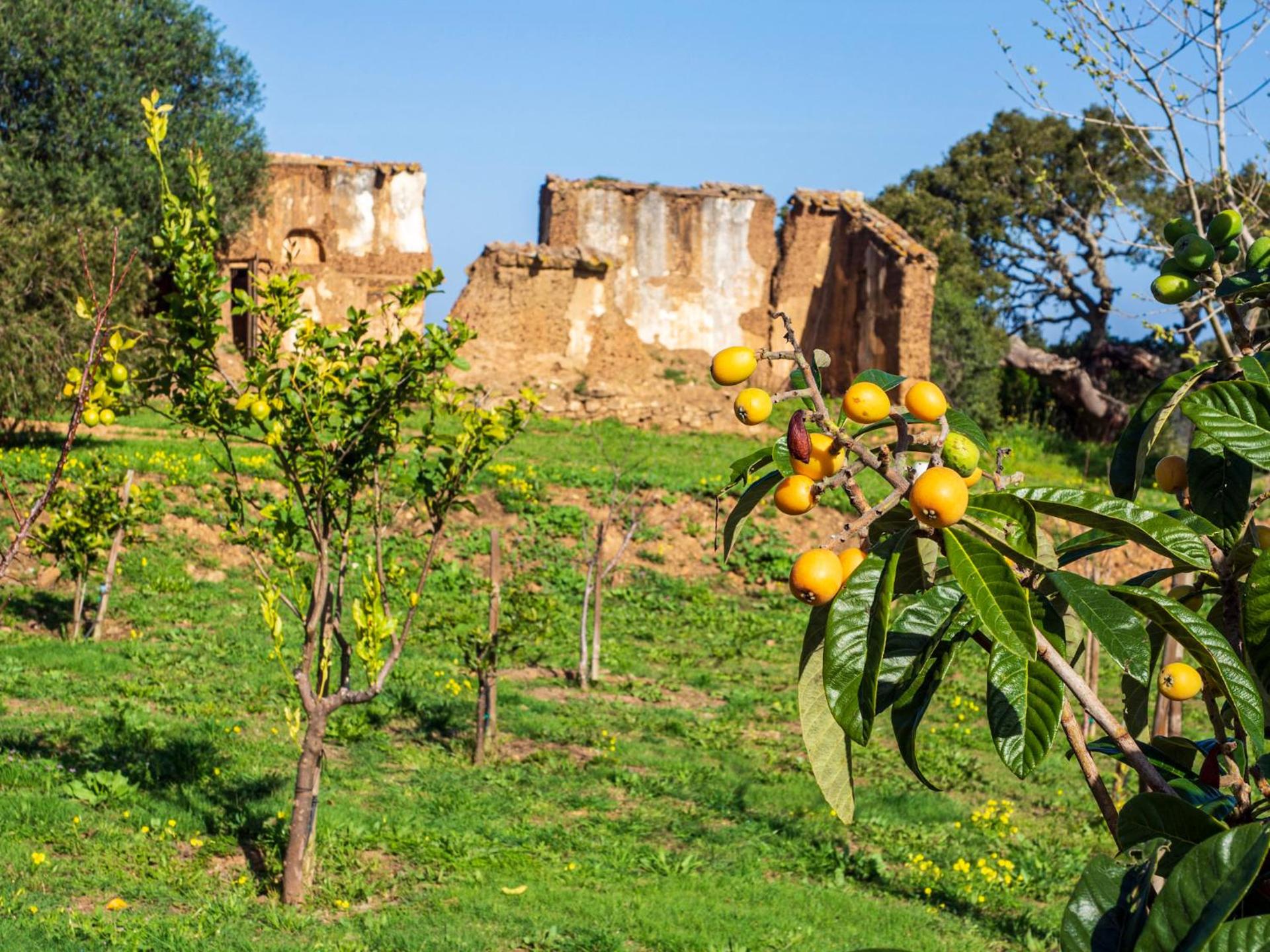 Salthouse Portugal - Exclusive East Apartment