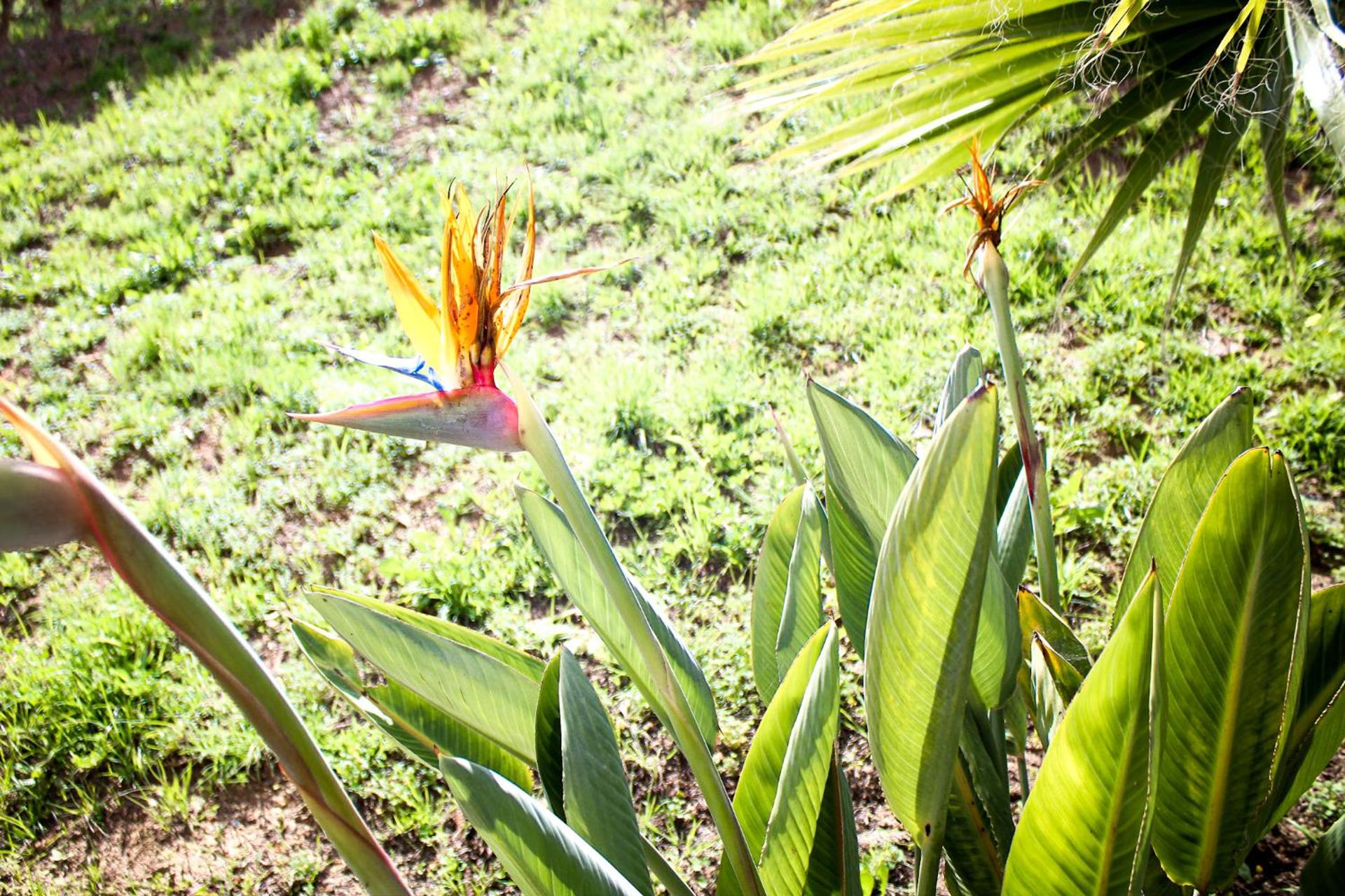 Salthouse Portugal - Exclusive East Apartment