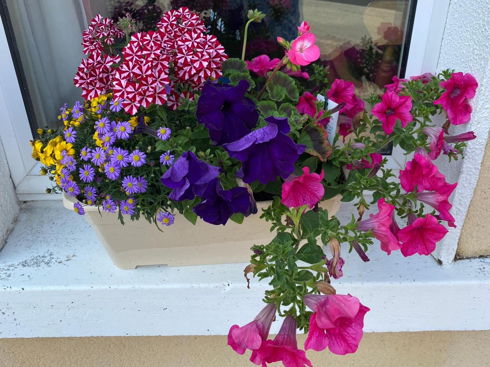 Castlebaldwin Country Residence