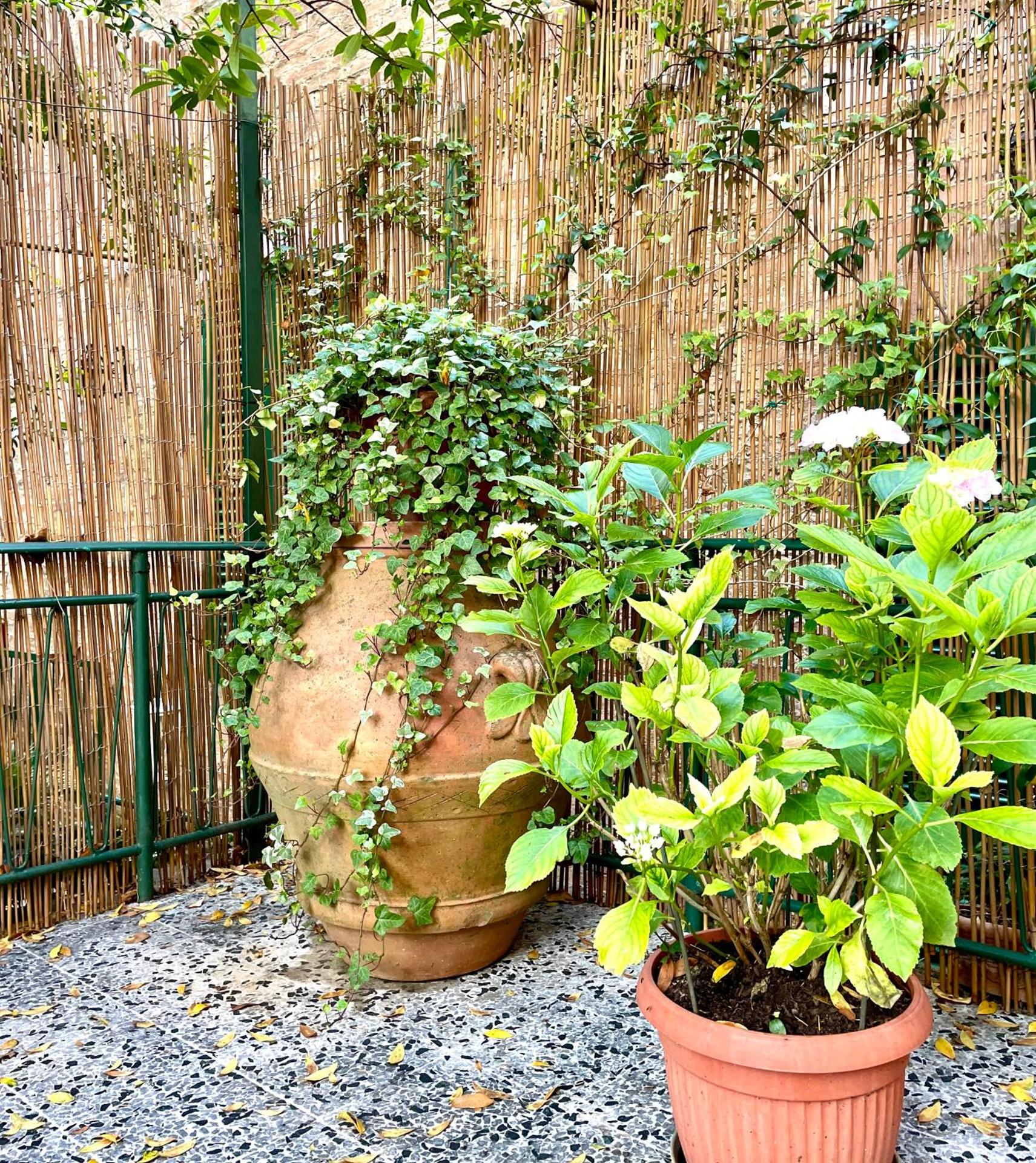 Super attico della Brigata Spendereccia!