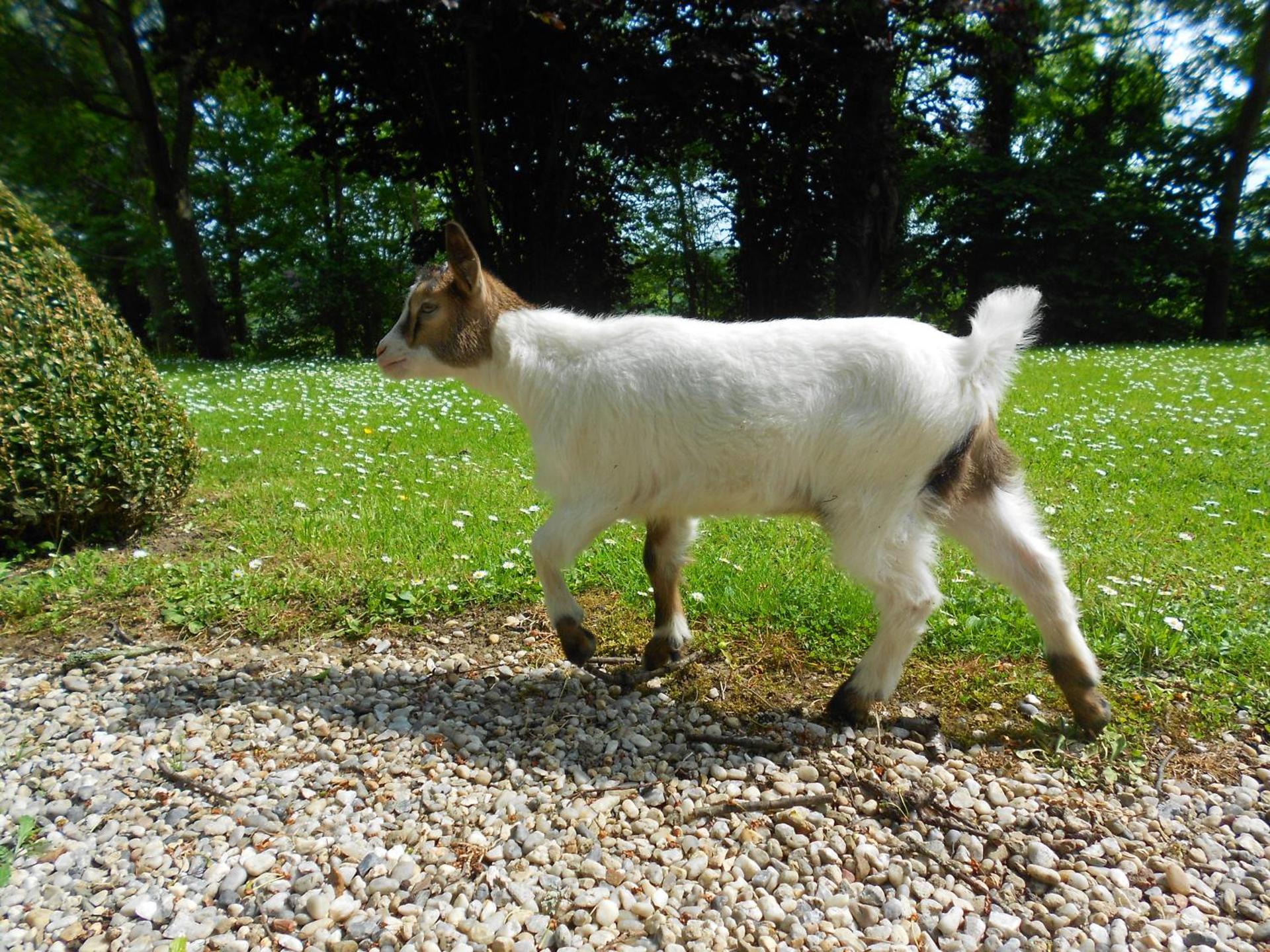 Gîte " Le Normand " Sa Vue Splendide