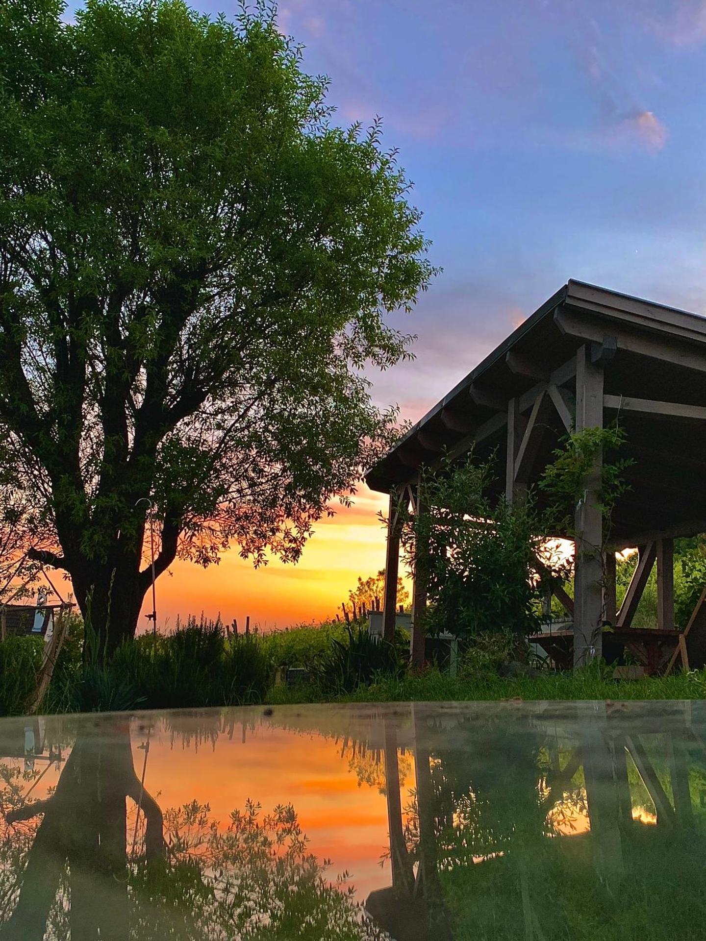 Kiskacsa Nyúlontúl