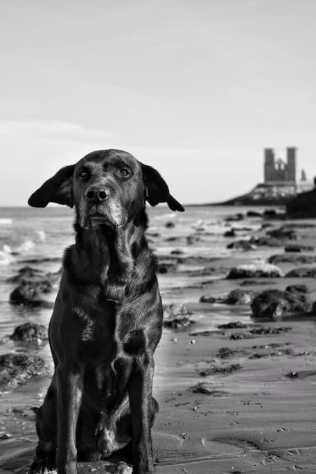 4 The Old Schoolhouse: Parking, hot tub, garden, air con