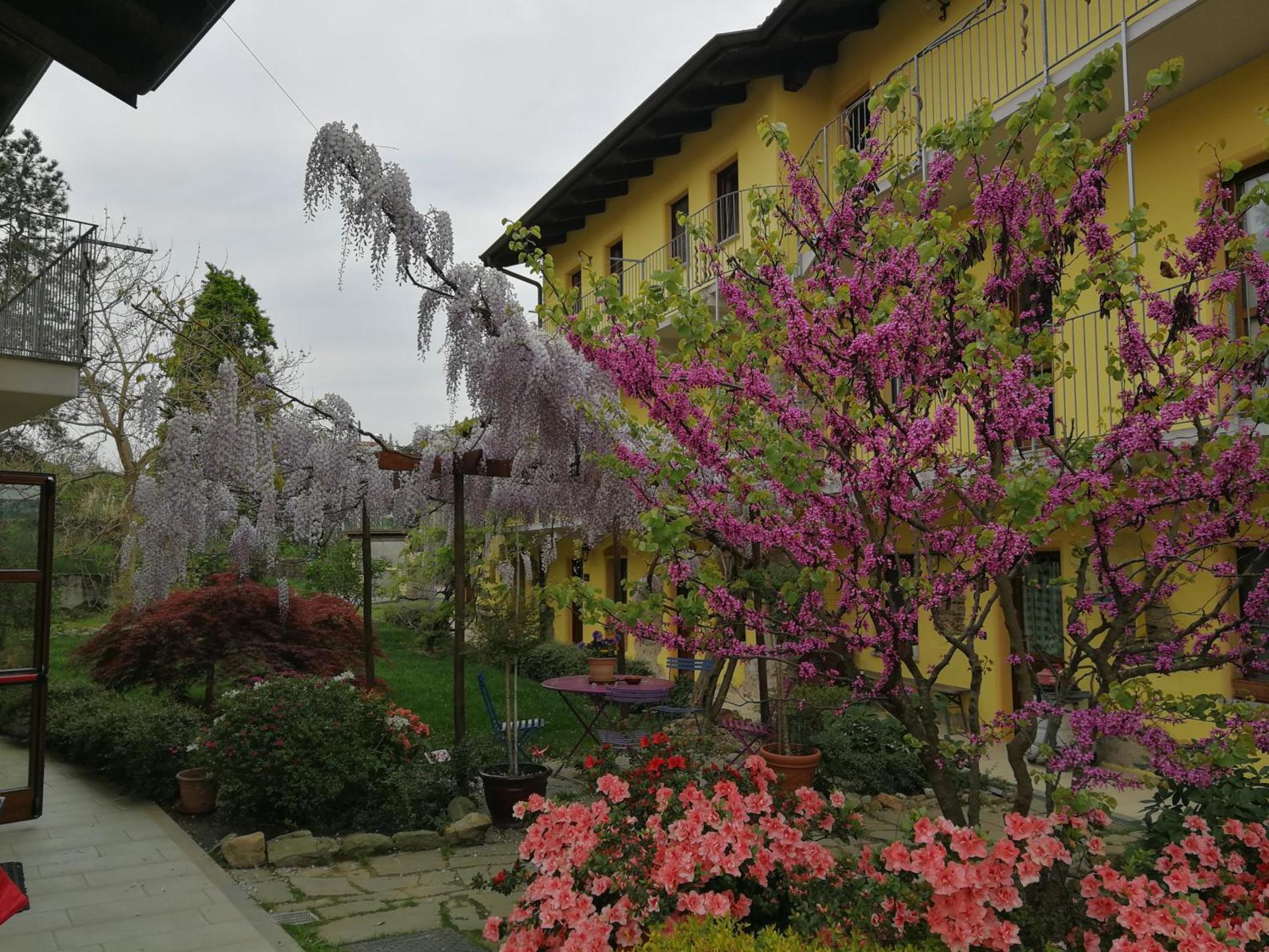 Inner courtyard view