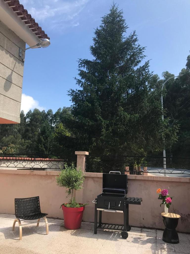 Primero Seixo antiguo