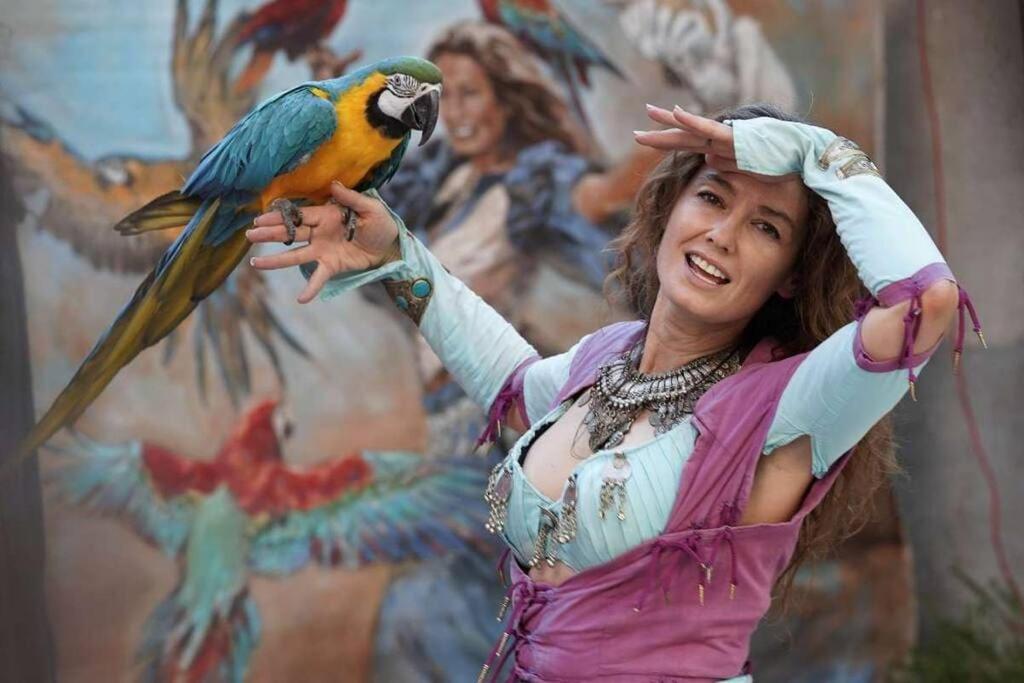 Taote - Studio avec terrasse au Coeur de ville