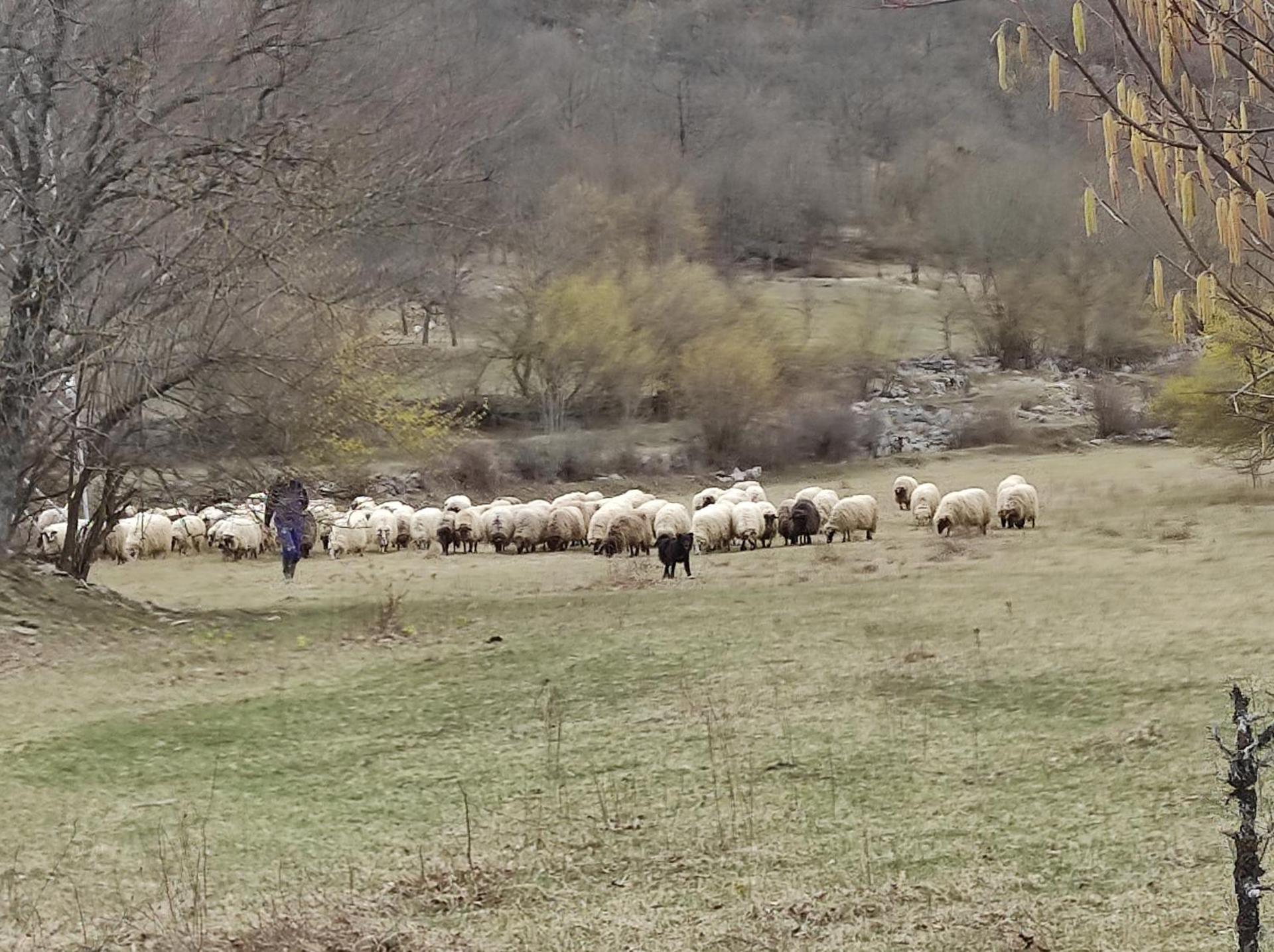 Lika Relax and Party House with sauna, jacuzzi and outdoor heated swimming pool