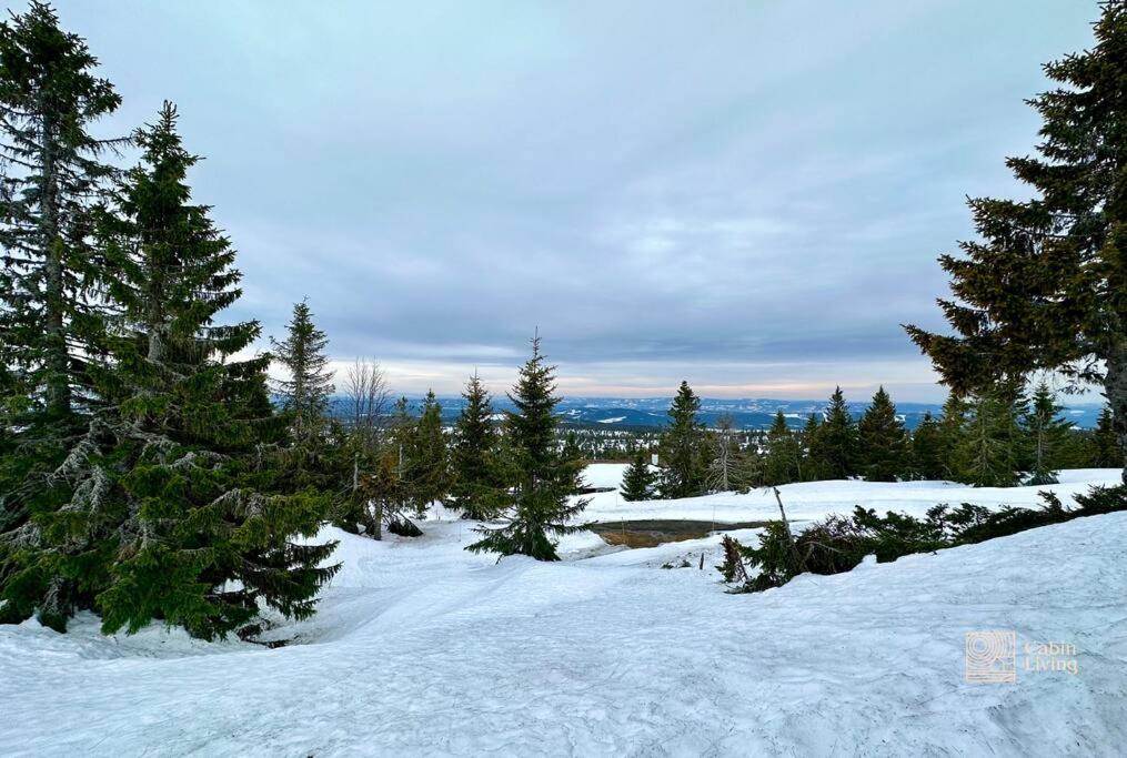 Large cabin with Sjusjøens best view, sauna and ski in out