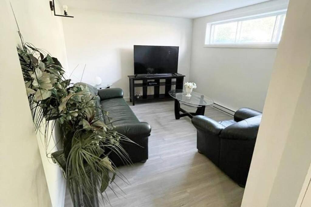 Stylish and luxurious apartment basement unit