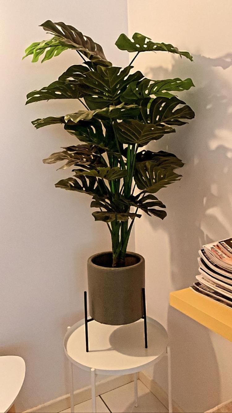 Chambre d'hôtes THE YELLOW CUBE