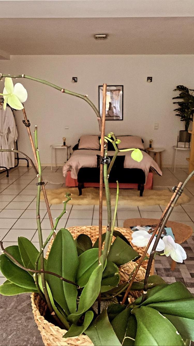 Chambre d'hôtes THE YELLOW CUBE