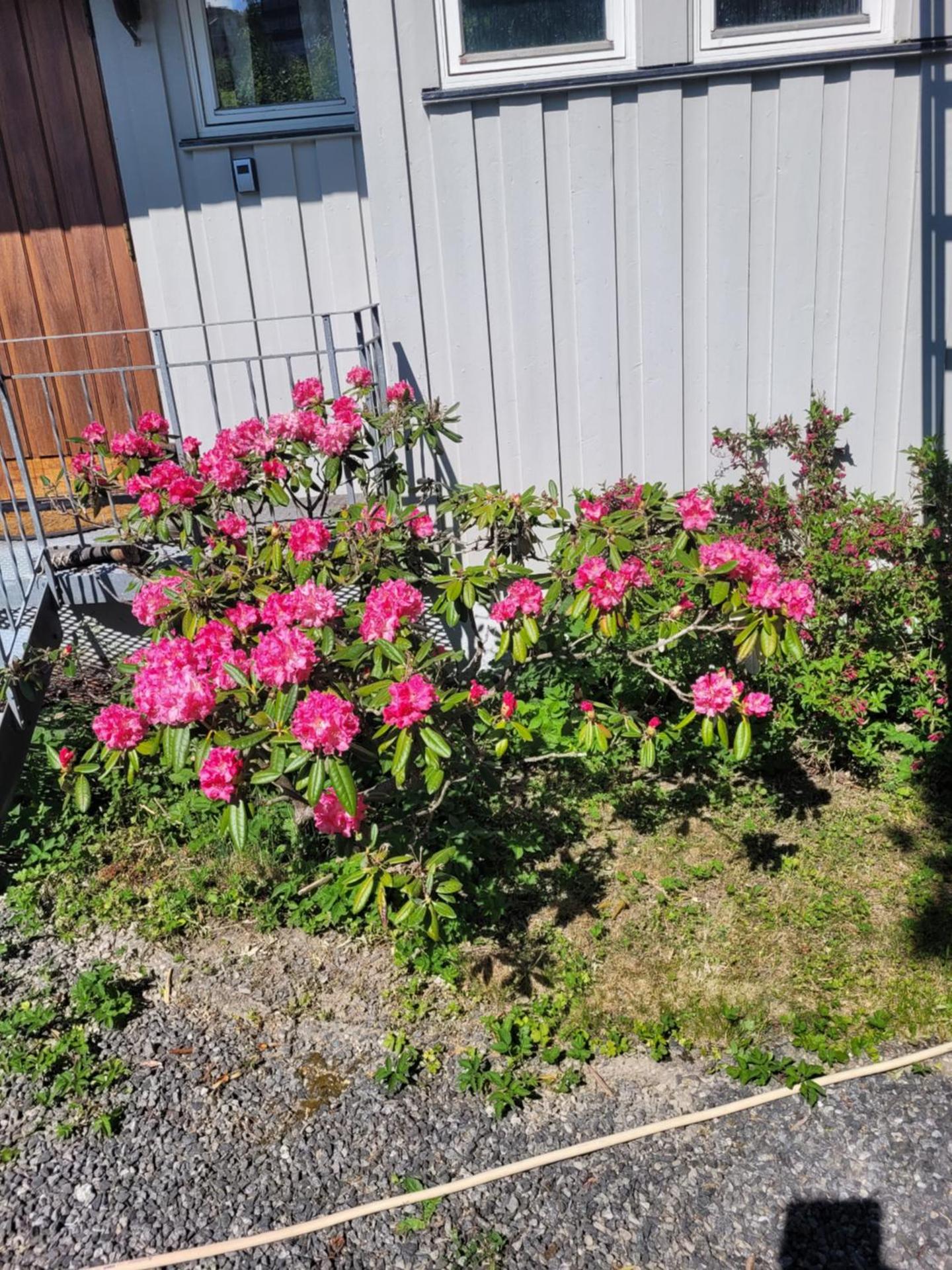 Hus ved Lillestrøm by