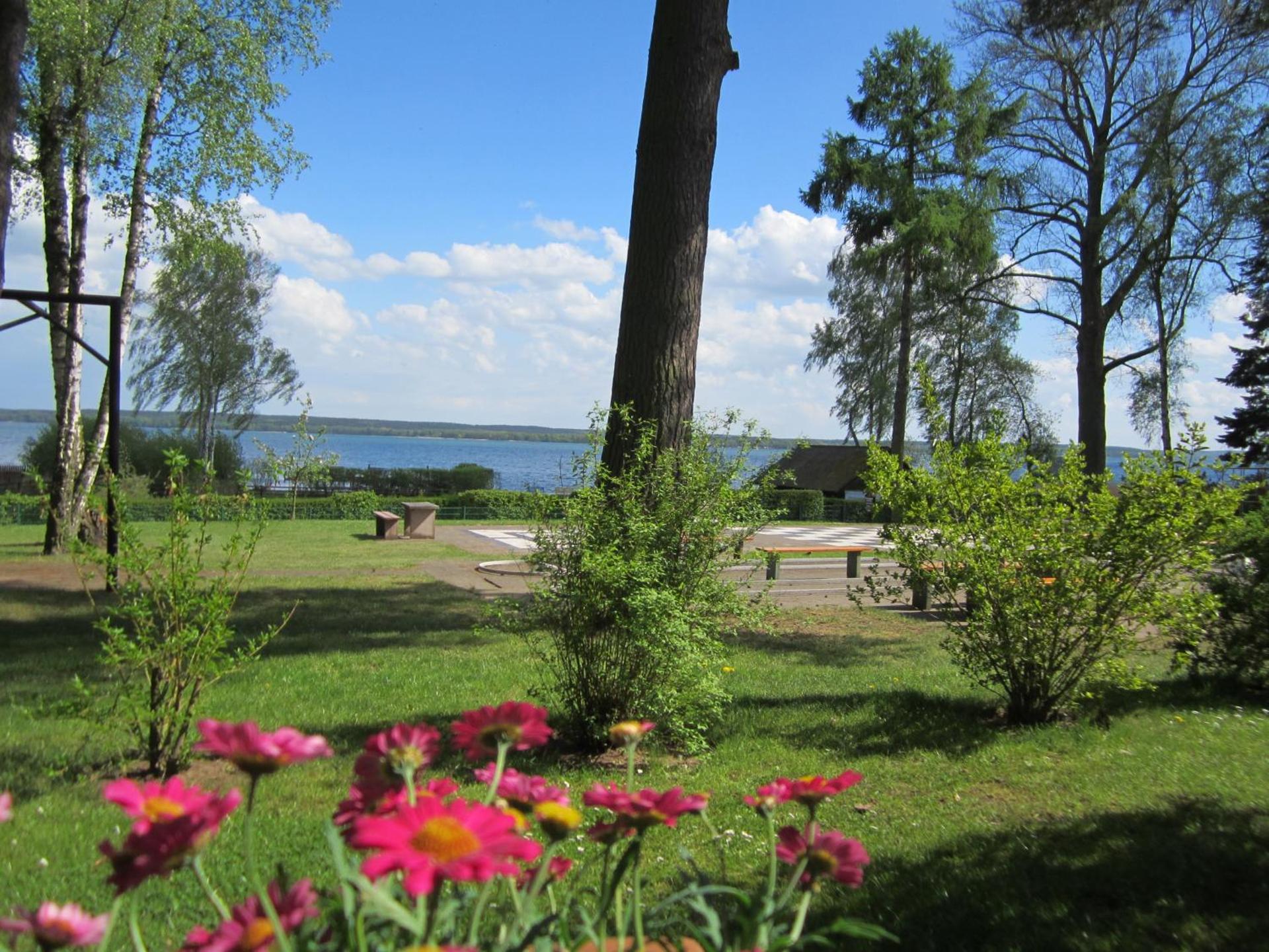 Children play ground