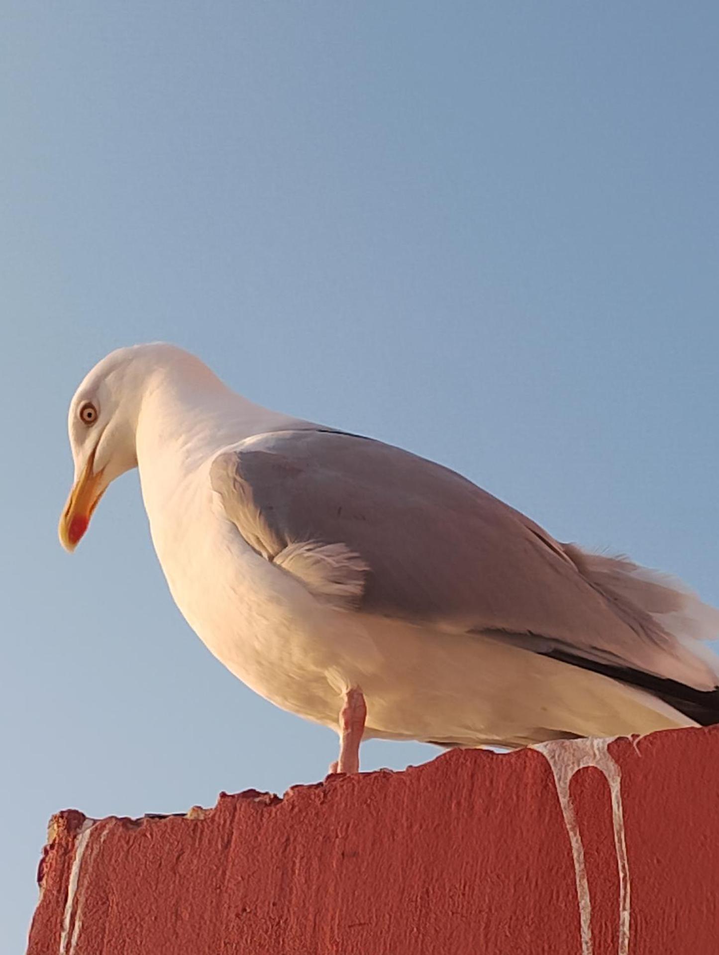 Superbe vue mer... Au calme