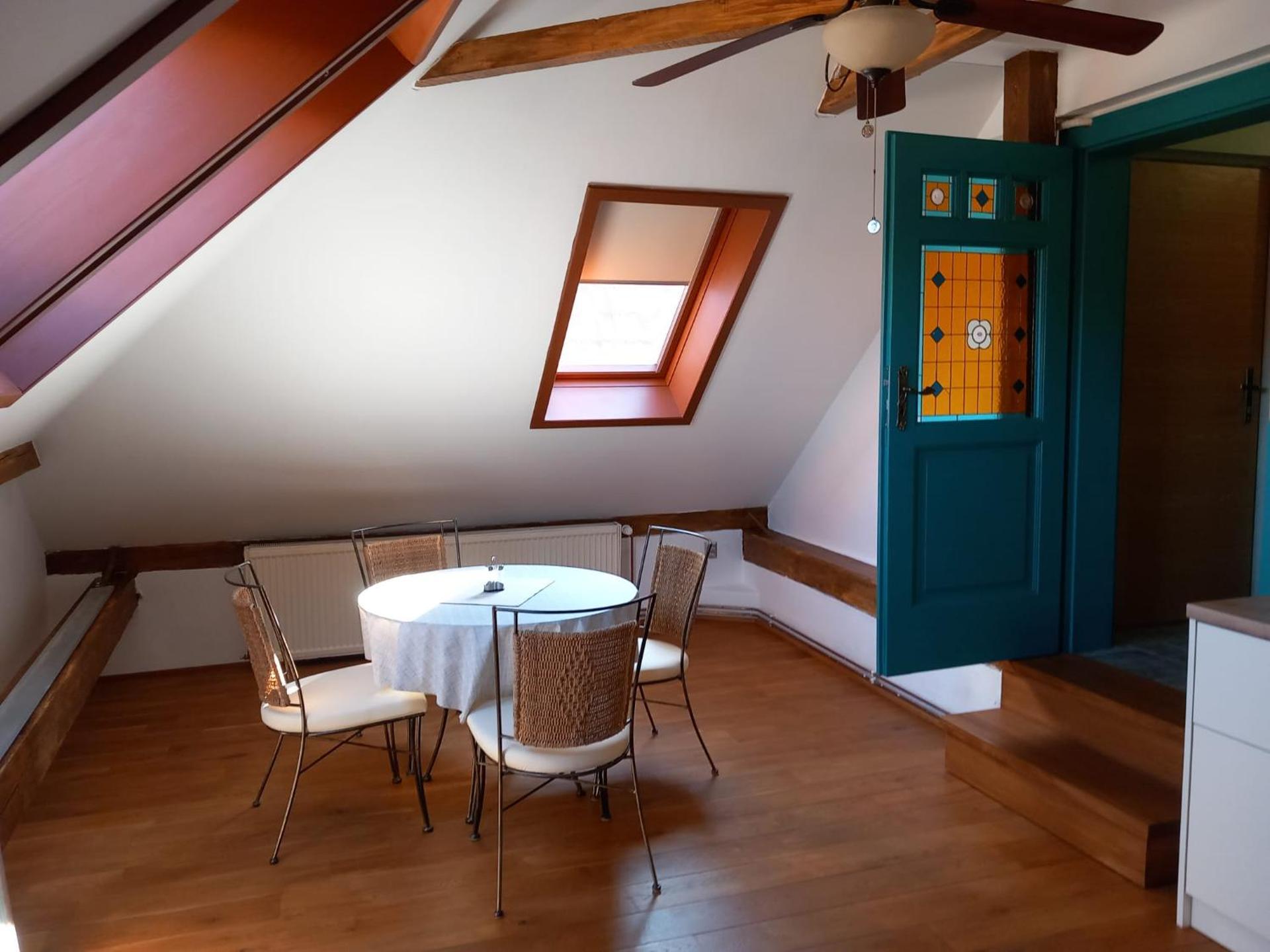 ROOF APARTMENT ZTRACENA