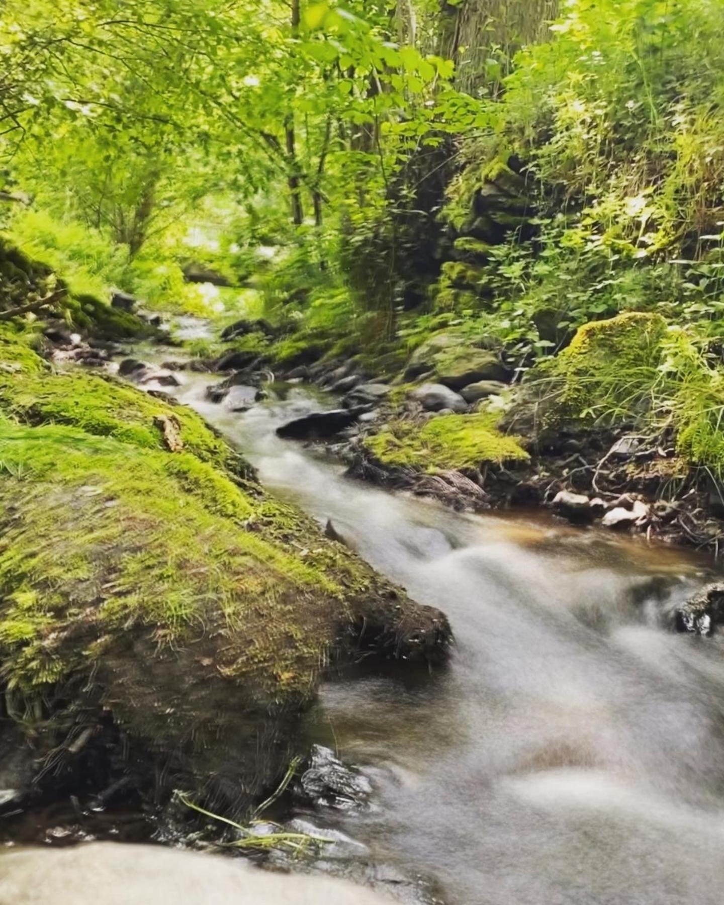 Ferienwohnung Frankenwald