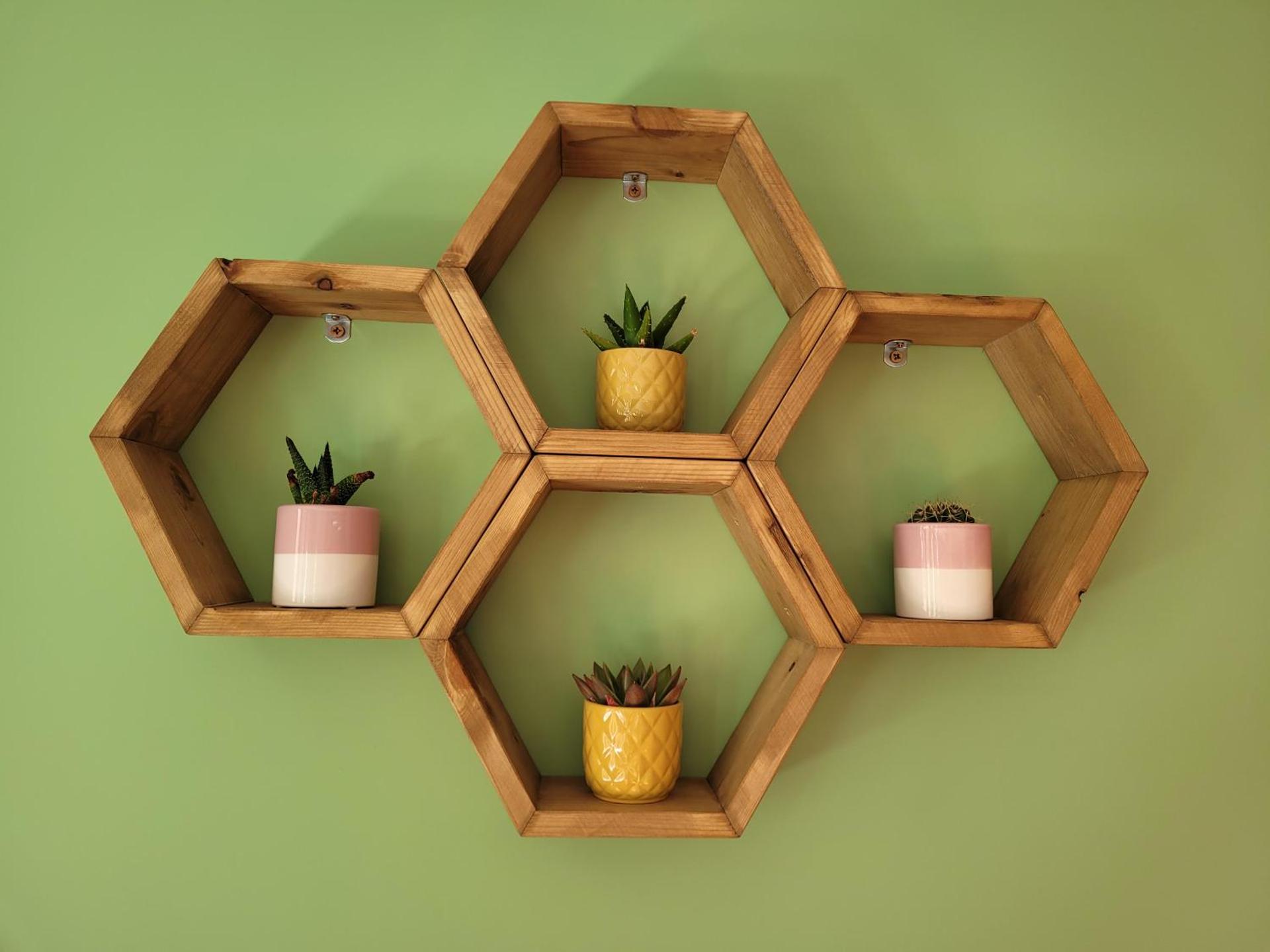 Forest Cedar Lodge, Forest of Dean