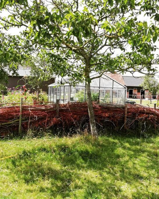 Cute little caravan for 2 in old orchard