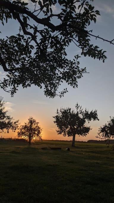 Cute little caravan for 2 in old orchard