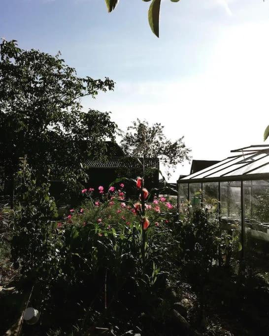 Cute little caravan for 2 in old orchard