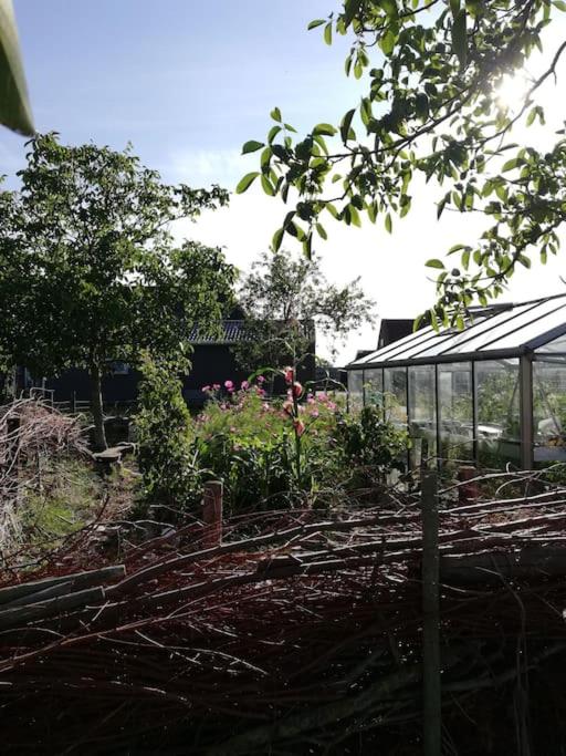 Cute little caravan for 2 in old orchard