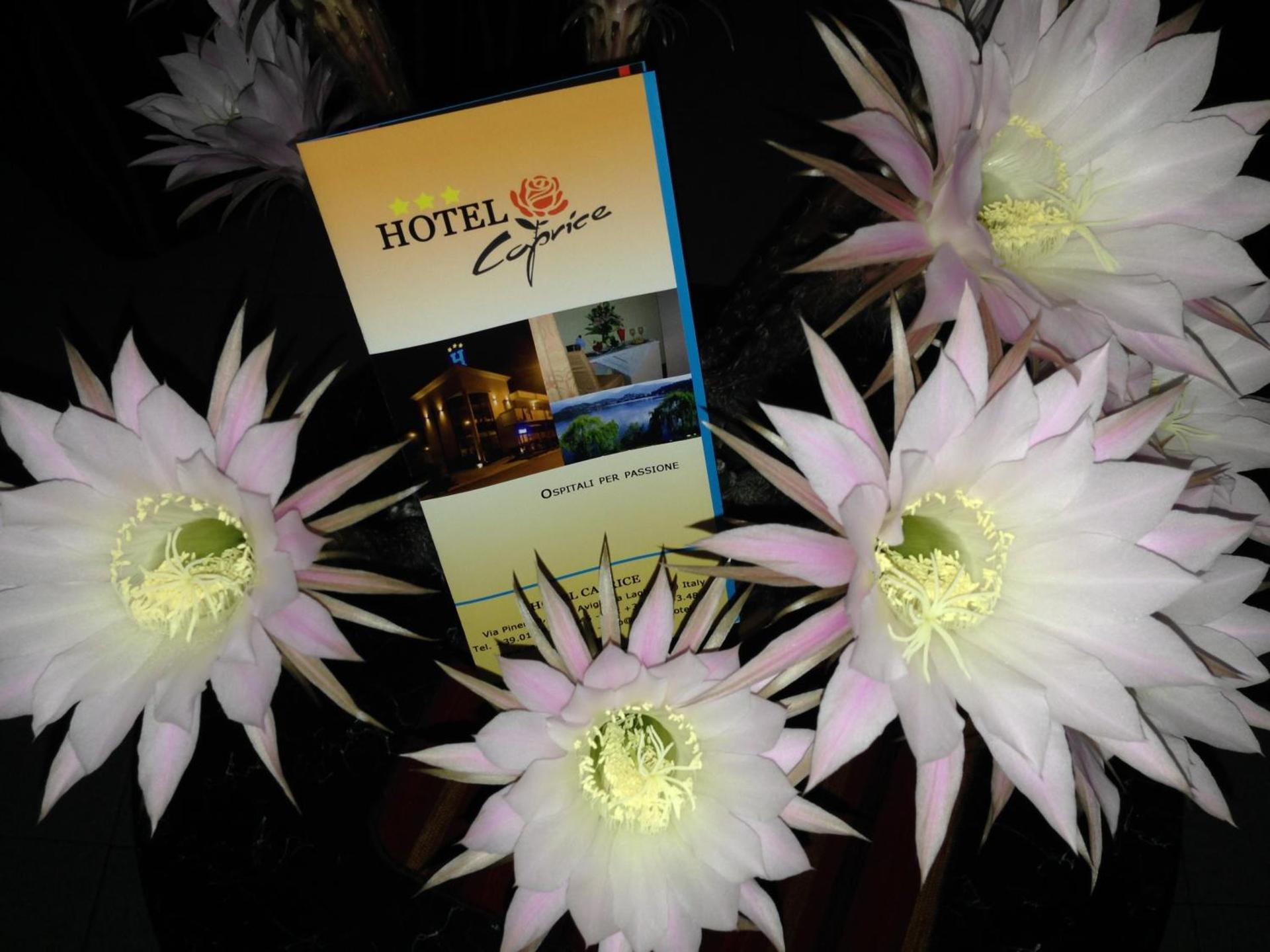 Property logo or sign