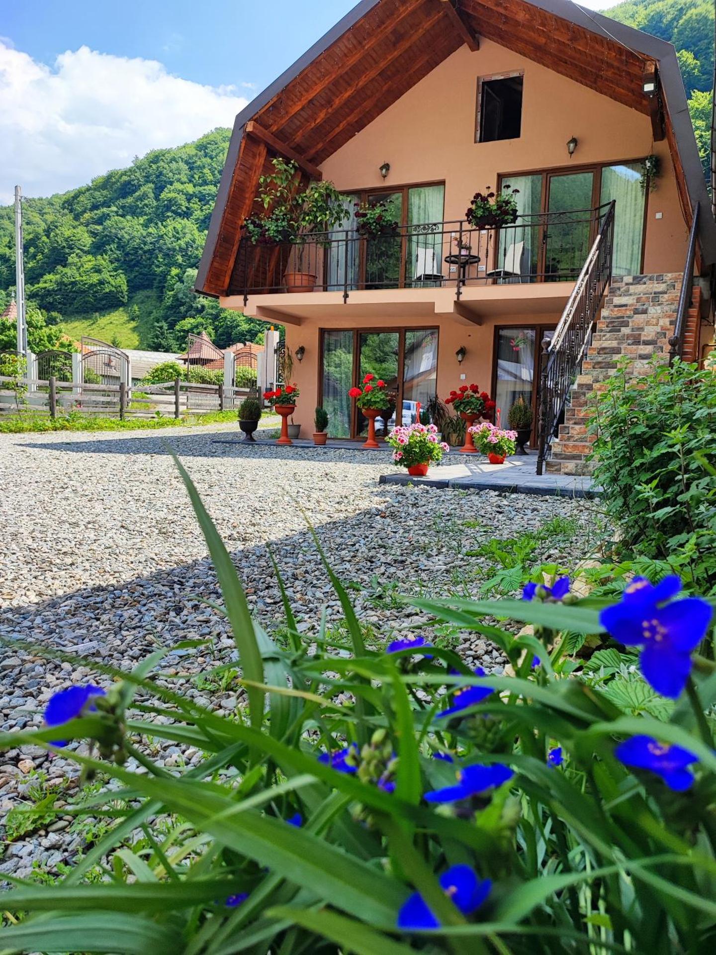 Casa de vacanta Estera Rucar