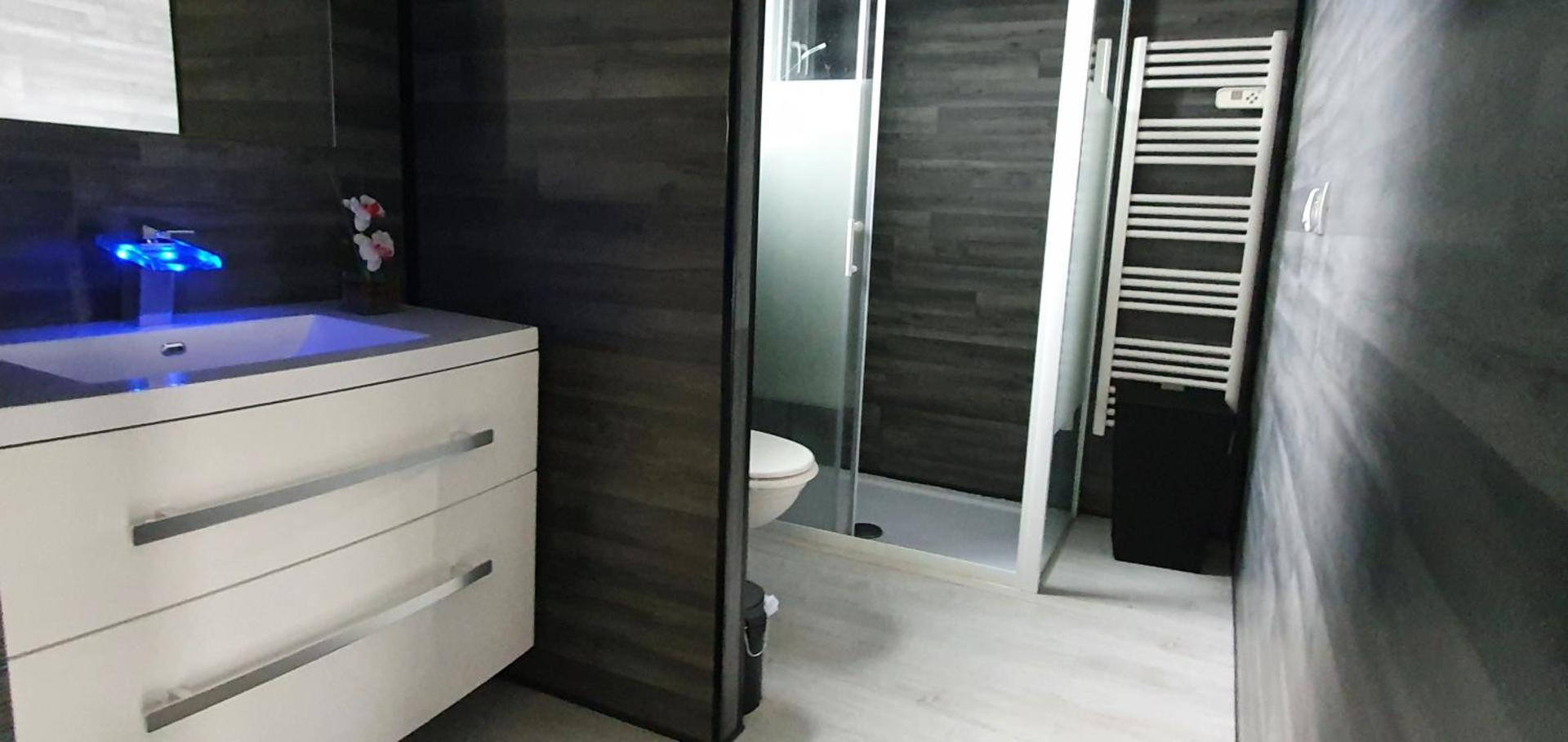 AU PETIT CANAL DE COLMAR 1