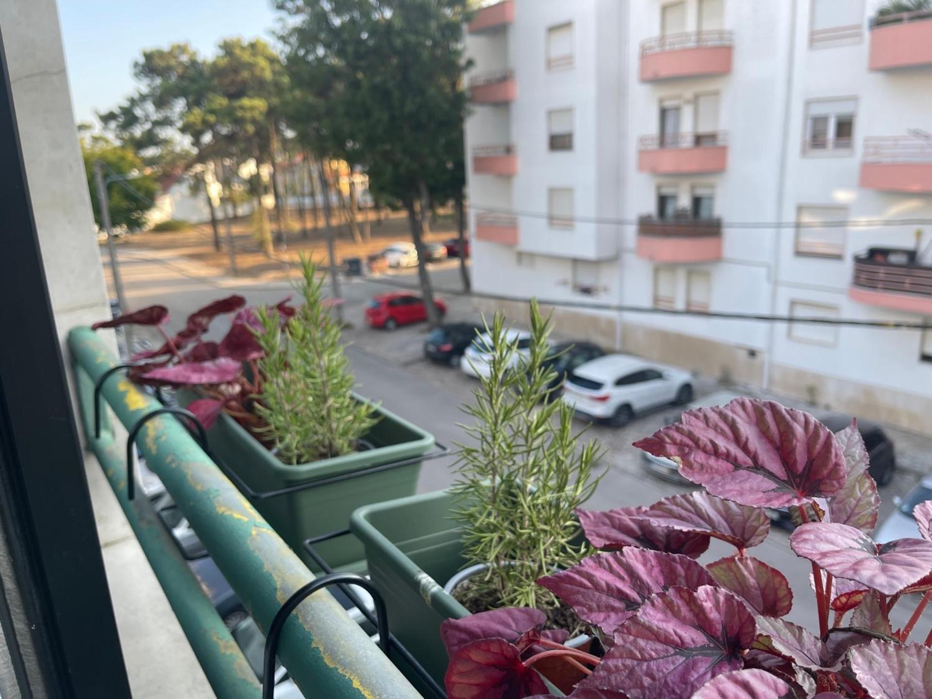 BestHomeStay- Caparica Beach Lisbon