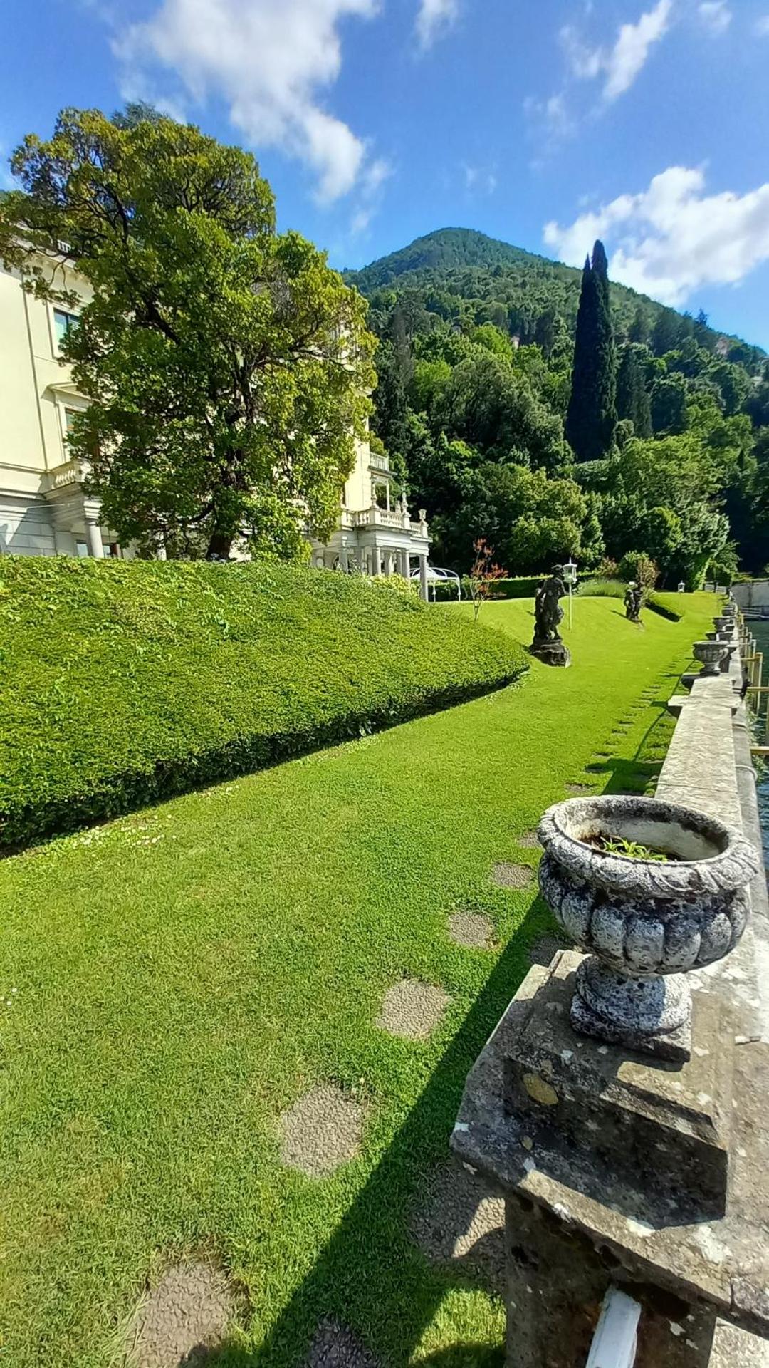 Una magnolia in Cademartori