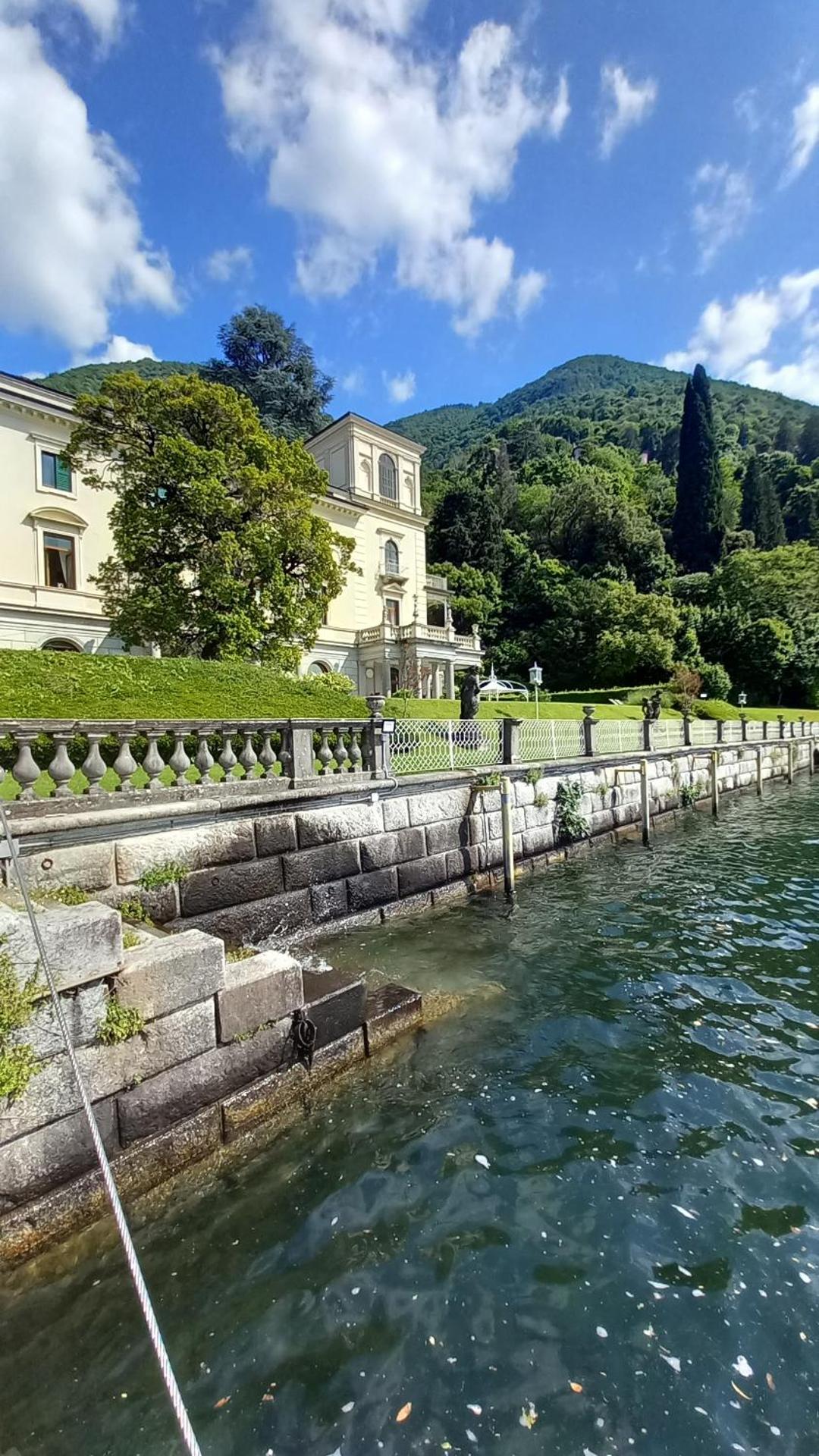 Una magnolia in Cademartori