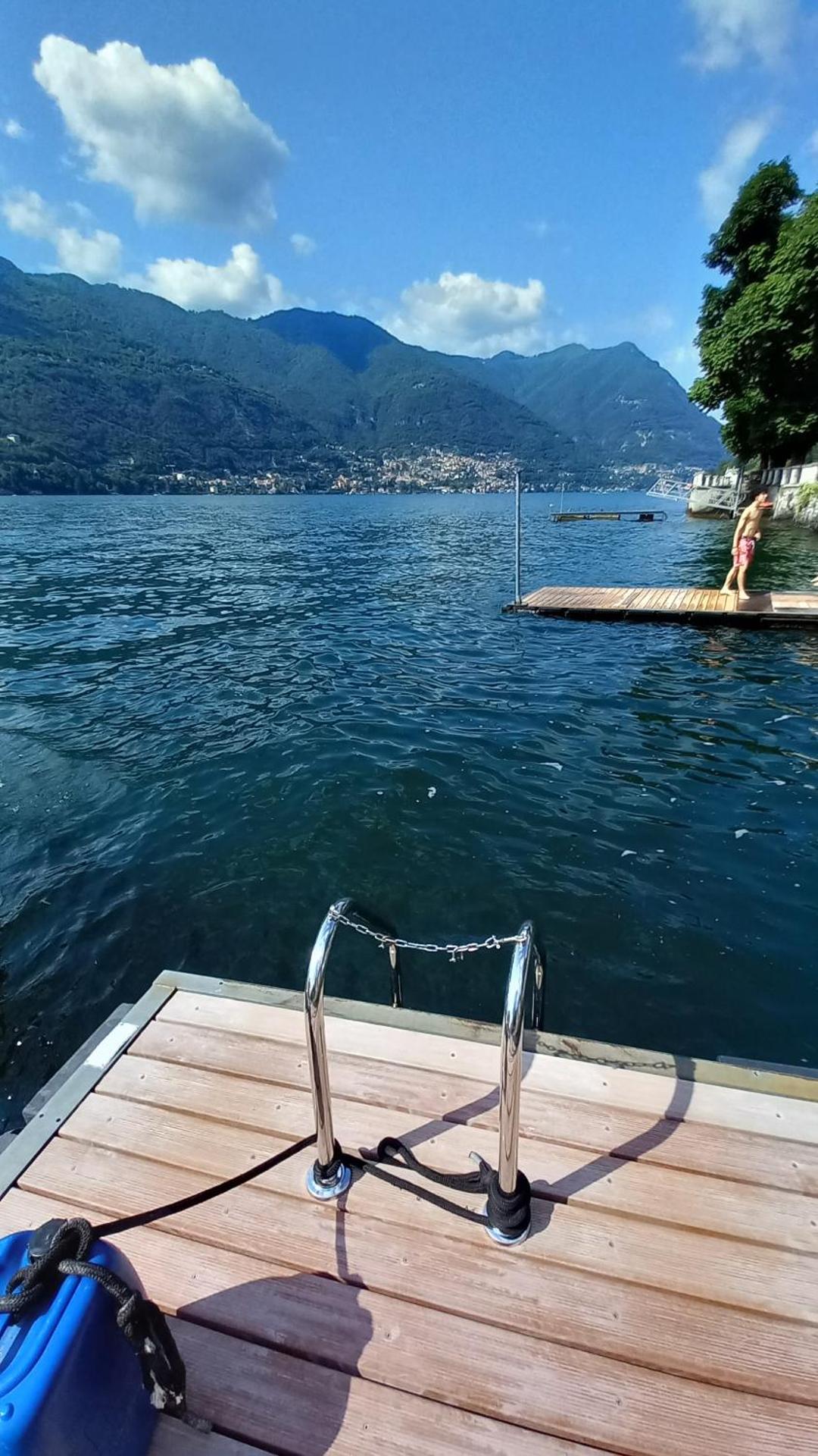 Una magnolia in Cademartori