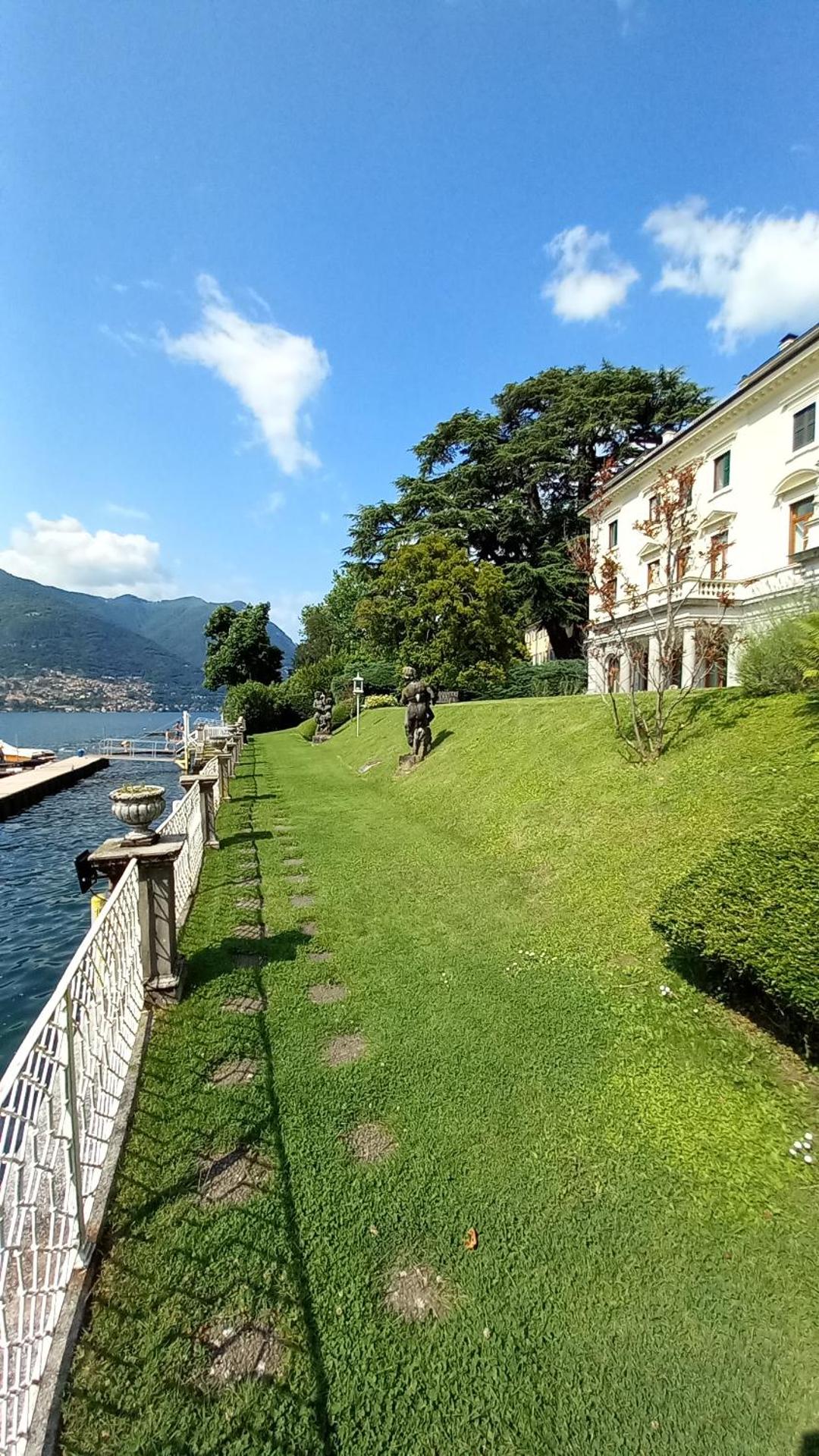 Una magnolia in Cademartori