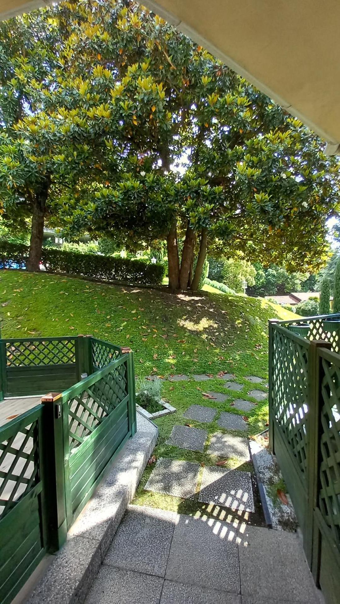 Una magnolia in Cademartori