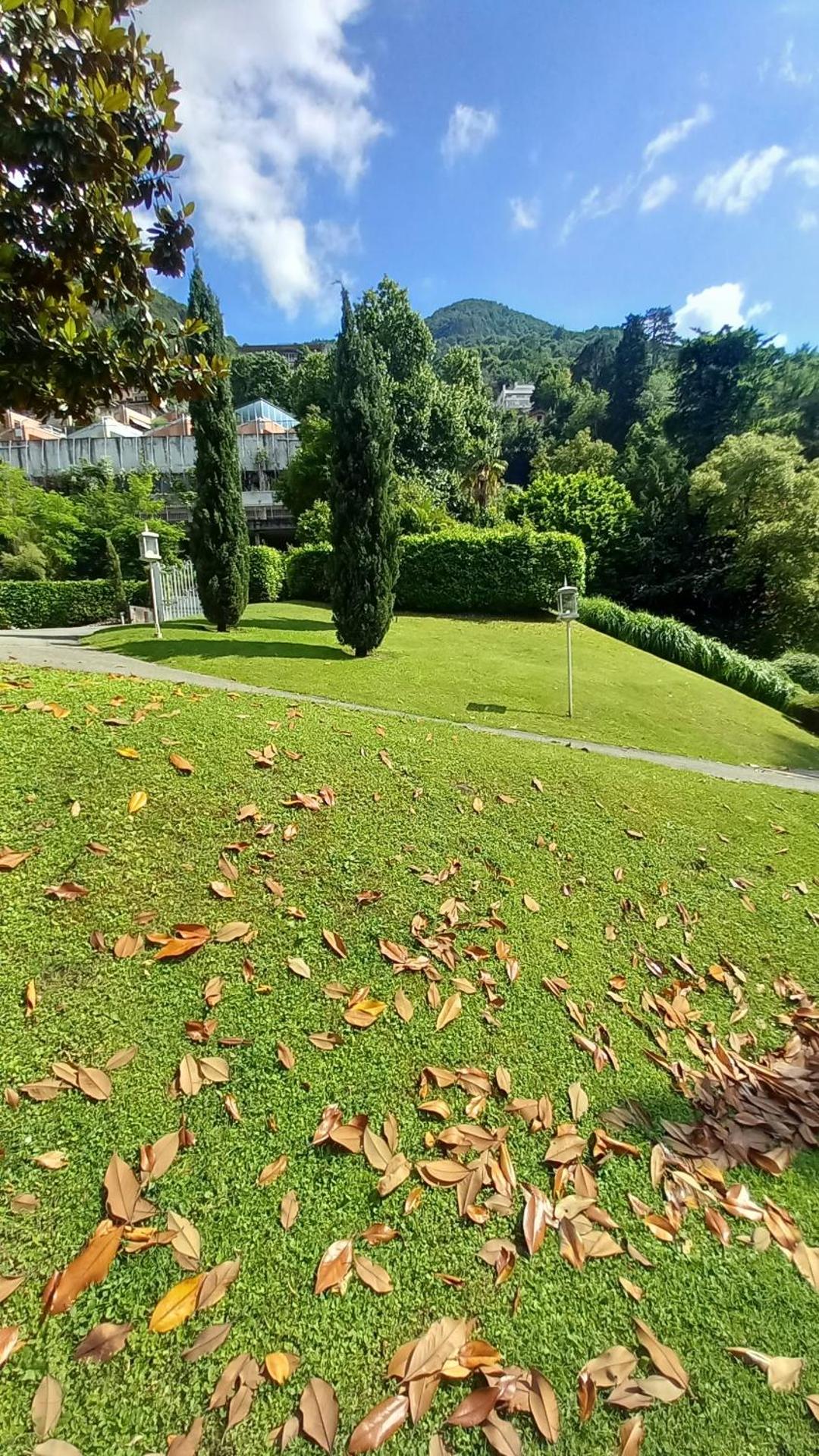 Una magnolia in Cademartori