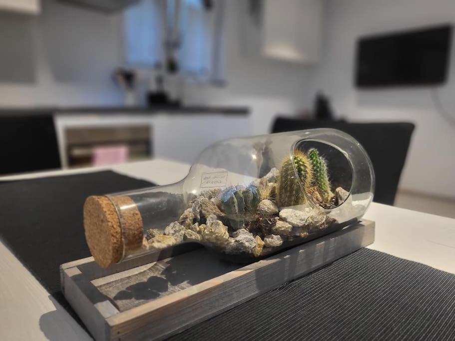 Schöne Einliegerwohnung 200m vom Wasser entfernt