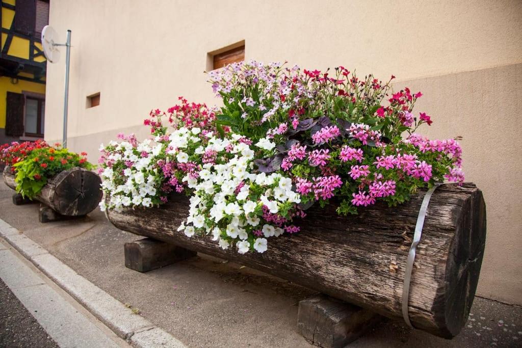 Gîte „La maison des épices“