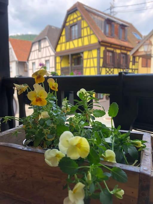 Gîte „La maison des épices“