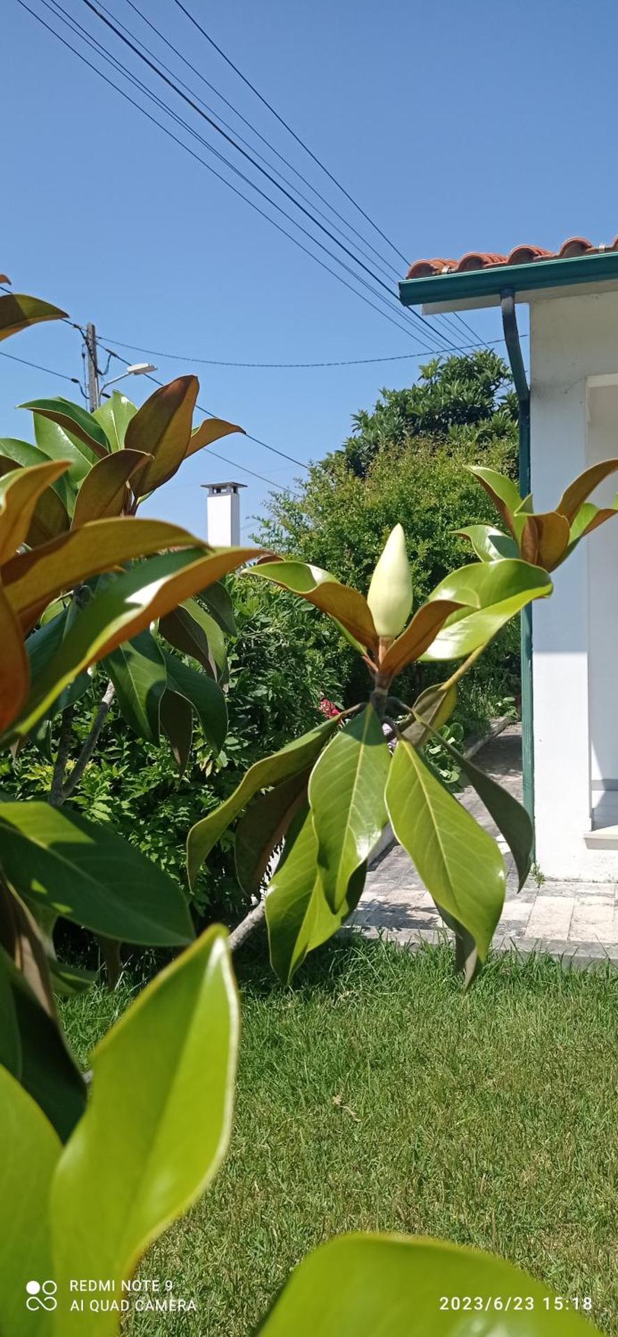 Casa da Nespereira- lugar acolhedor rodeado de natureza