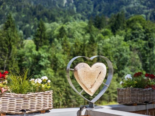 Neues Wood Design Apartment im Herzen des Bregenzerwalds