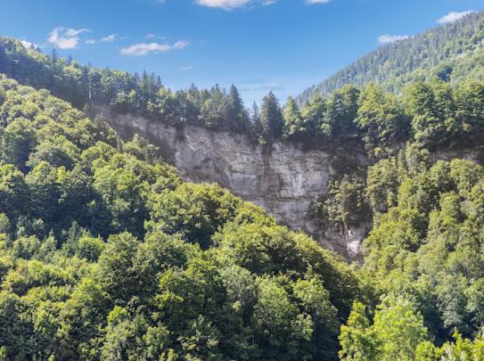 Neues Wood Design Apartment im Herzen des Bregenzerwalds