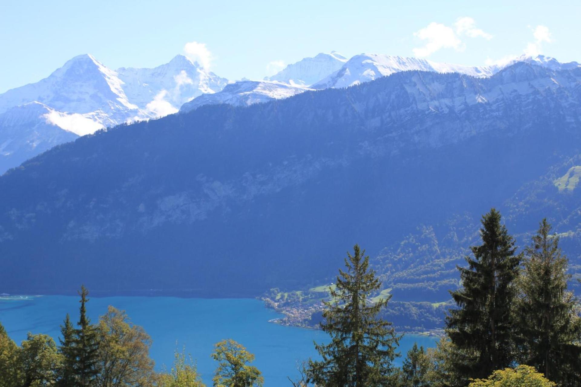 View (from property/room)