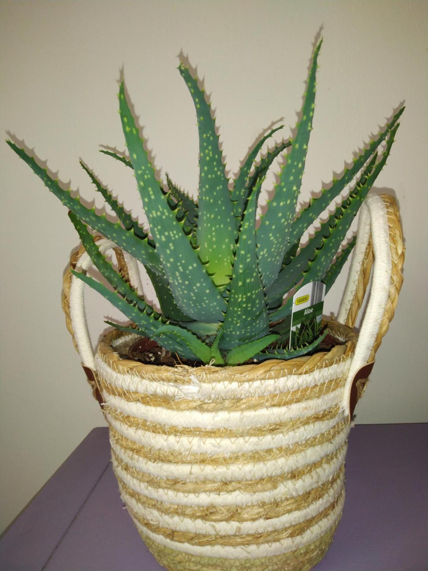 Studio neuf climatisé proche d'Agde